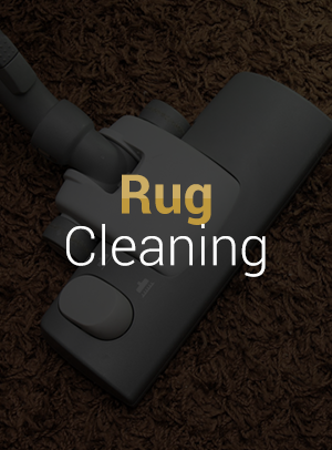 Rug-Cleaning-new-hyde-park
