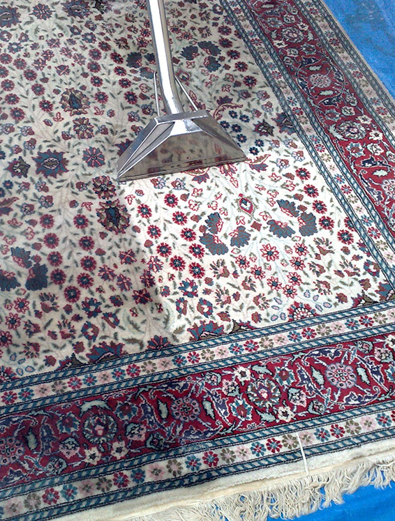 pro-Rug-Cleaning-services-new-hyde-park-new-york-Polyester-and-polyester-blends